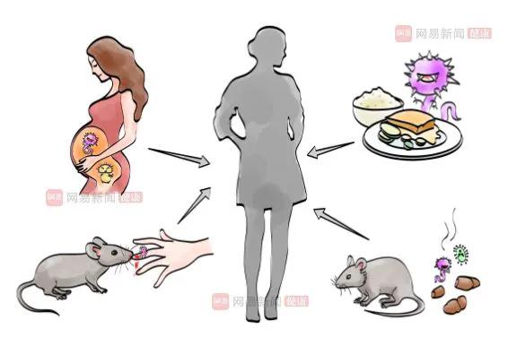 出血热易感年龄,出血热体温