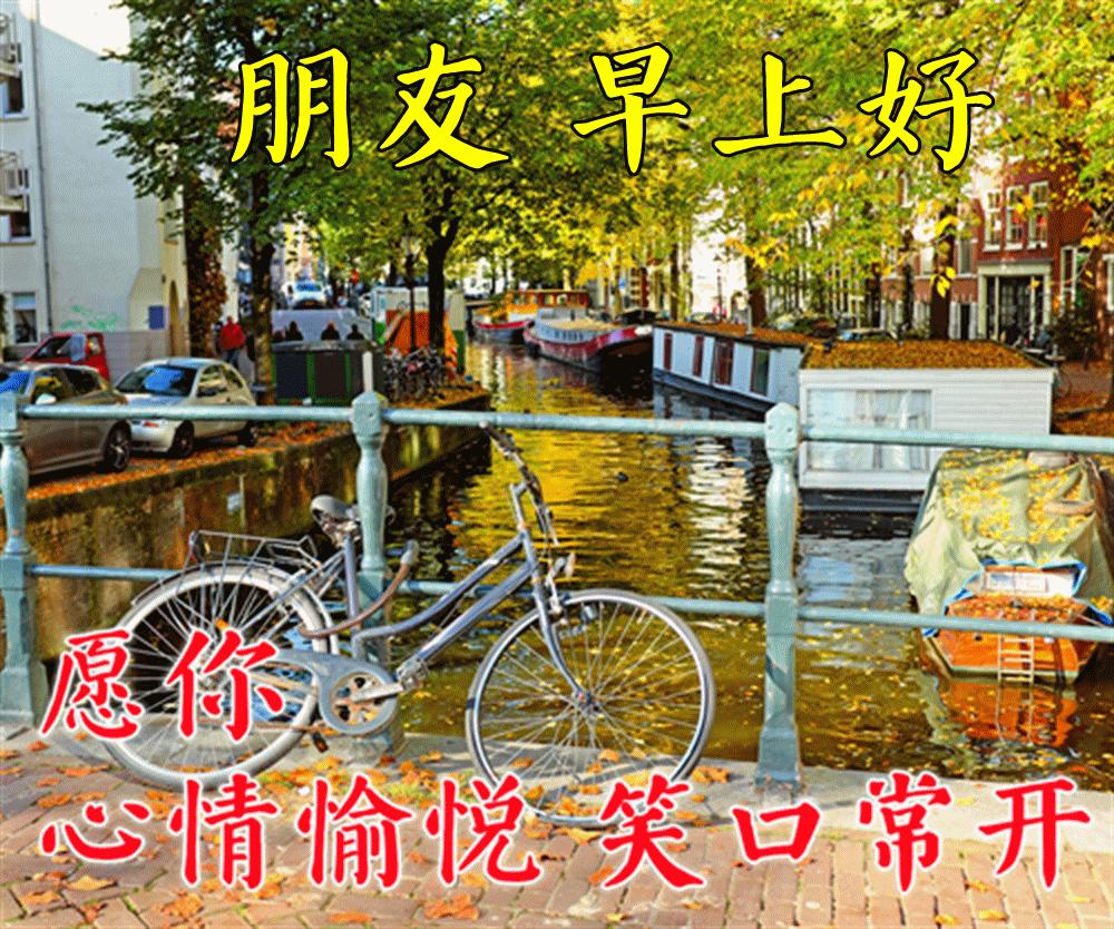 最新漂亮早上好问候图片鲜花带字,2023早上好问候语