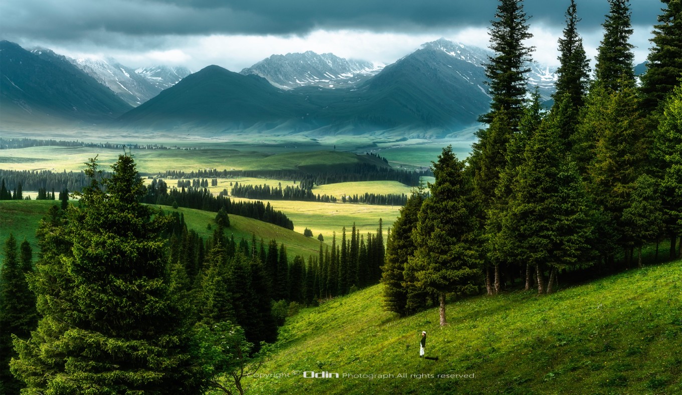 新疆伊犁之美,走了一圈才发现世界万物远不及你