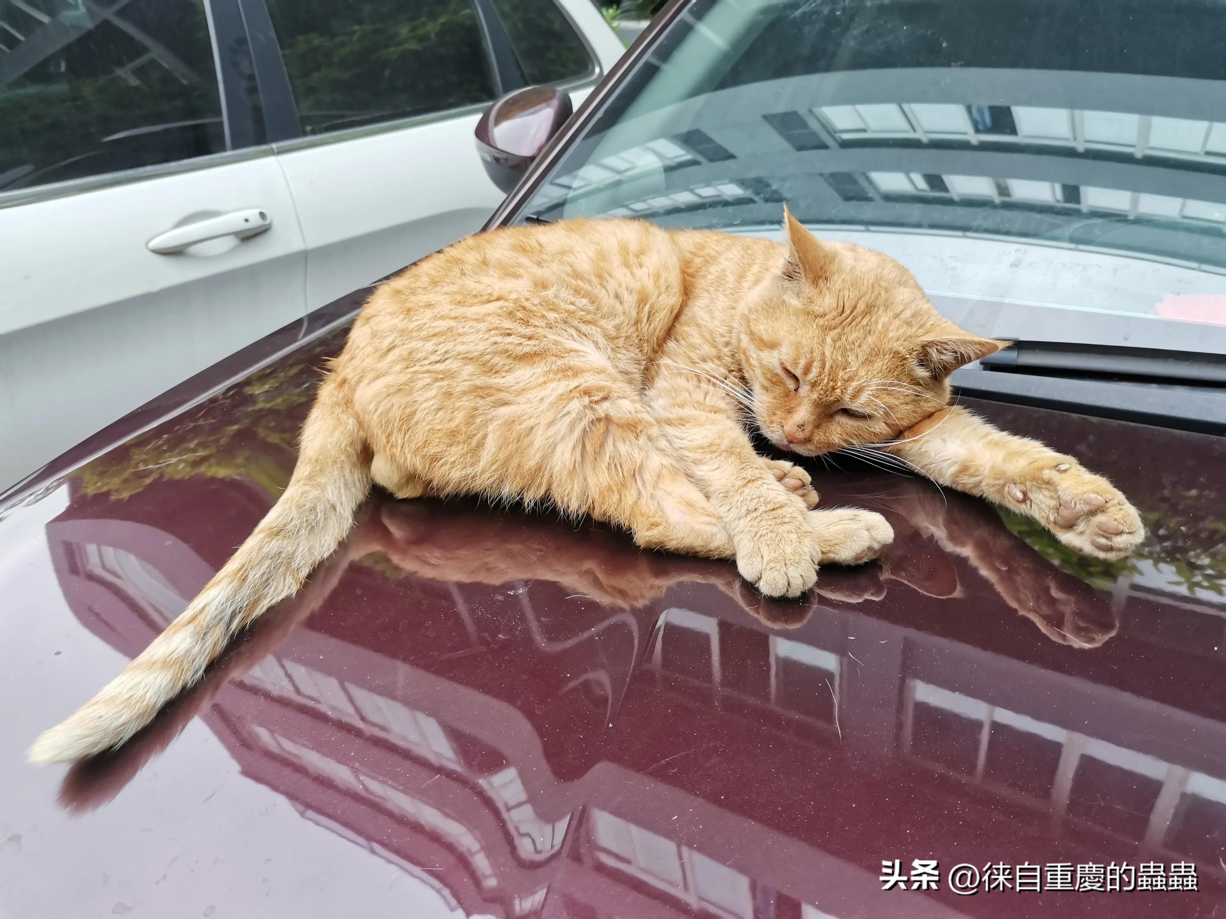 正在愁文章没有阅读量的朋友今天晚上何不到大街上压压马路