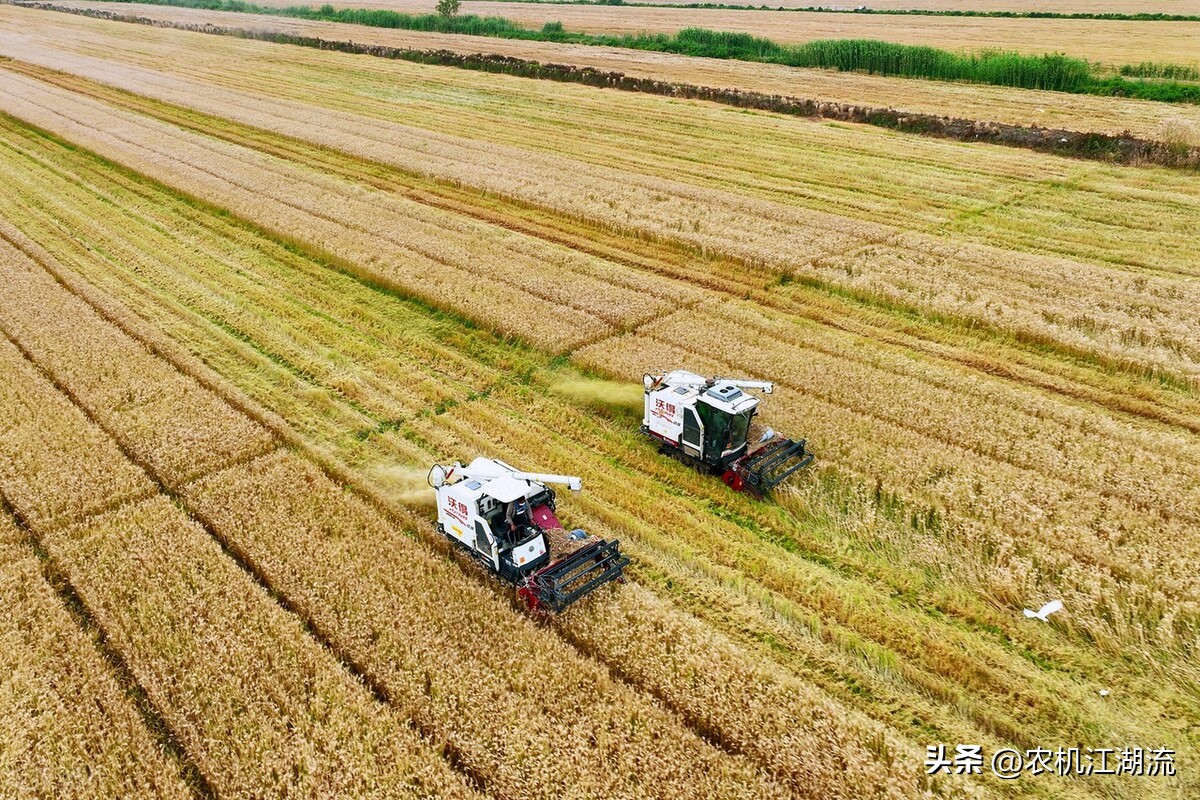 中联谷王小麦收割机,谷王小麦收割机vs雷沃小麦收割机