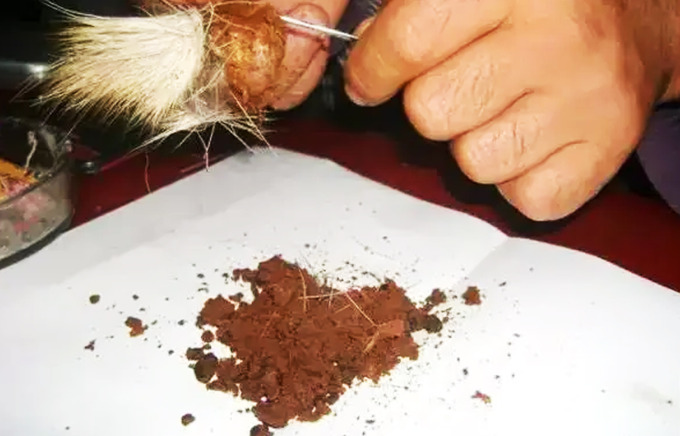 非常好闻！了解下世界昂贵的分泌物