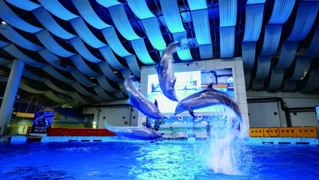 合肥市肥西县旅游景点,春节合肥市旅游景点