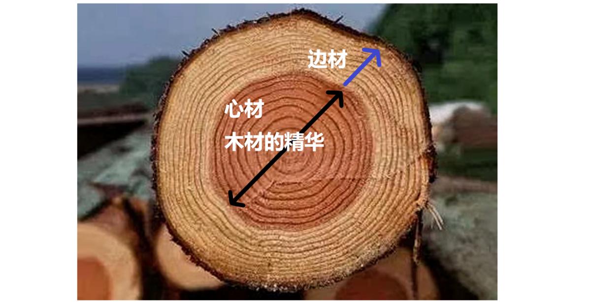 除了柚木还有哪种实木地板好,同样面积木地板和瓷砖差多少钱