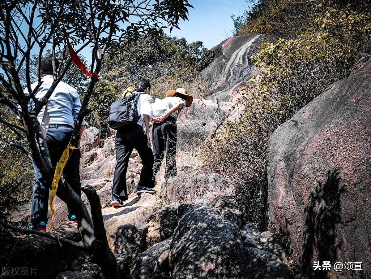 别让警务亲朋帮忙查询公安平台个人信息了，涉嫌犯罪！