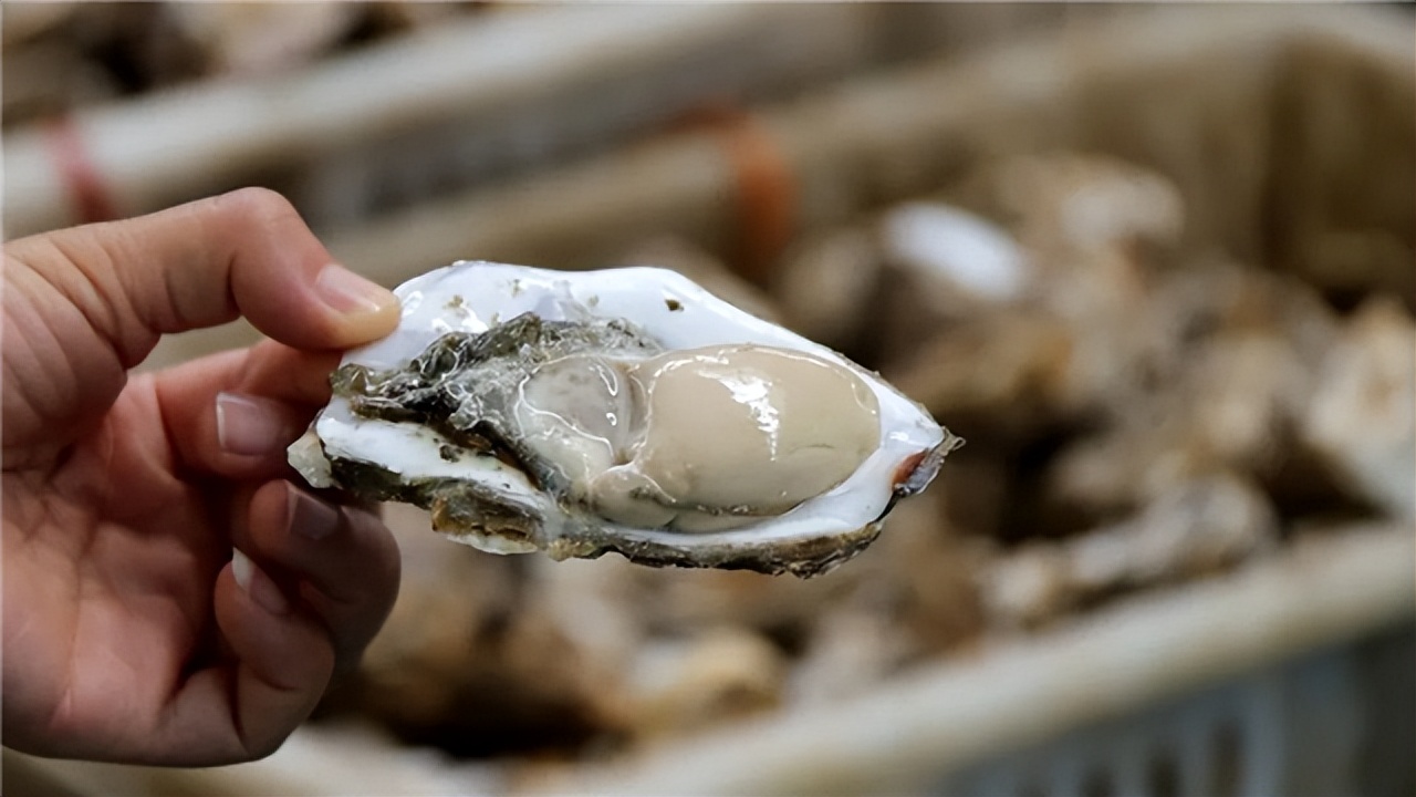 Hi，威海丨特种兵式旅游，这些打卡点推荐给你！