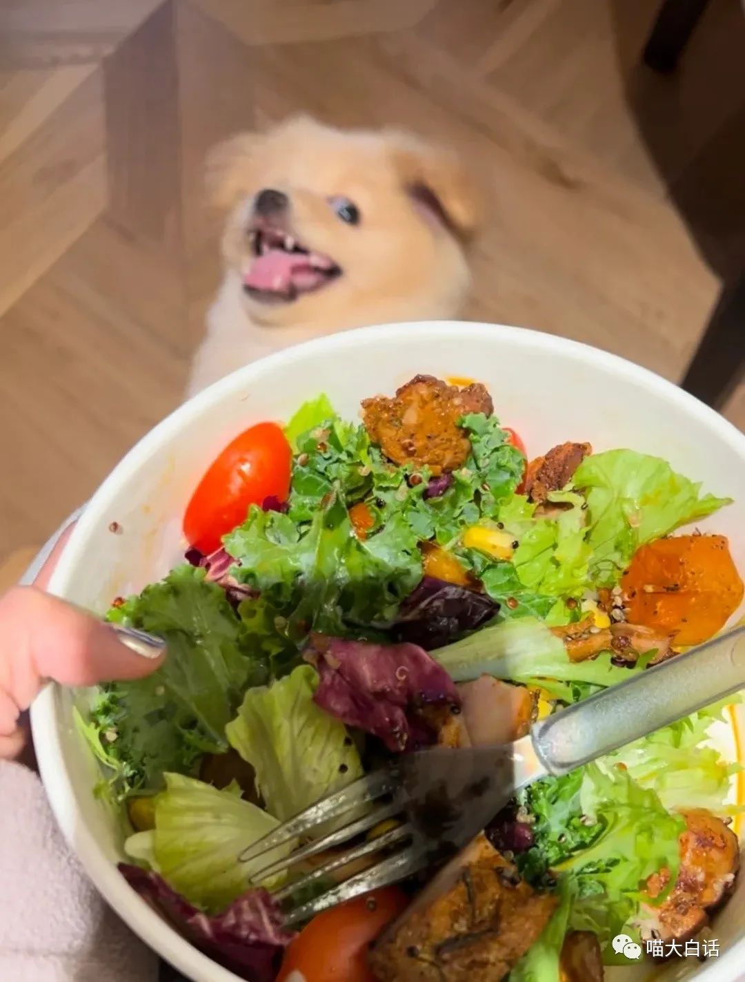 当富豪看到自己的国家队输球后...哈哈原来有钱人也会不高兴！