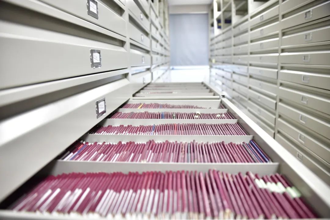 所有的护照都是真的吗,这本中国护照