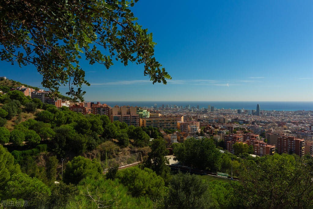 西班牙移民项目流程,西班牙新移民种类介绍图