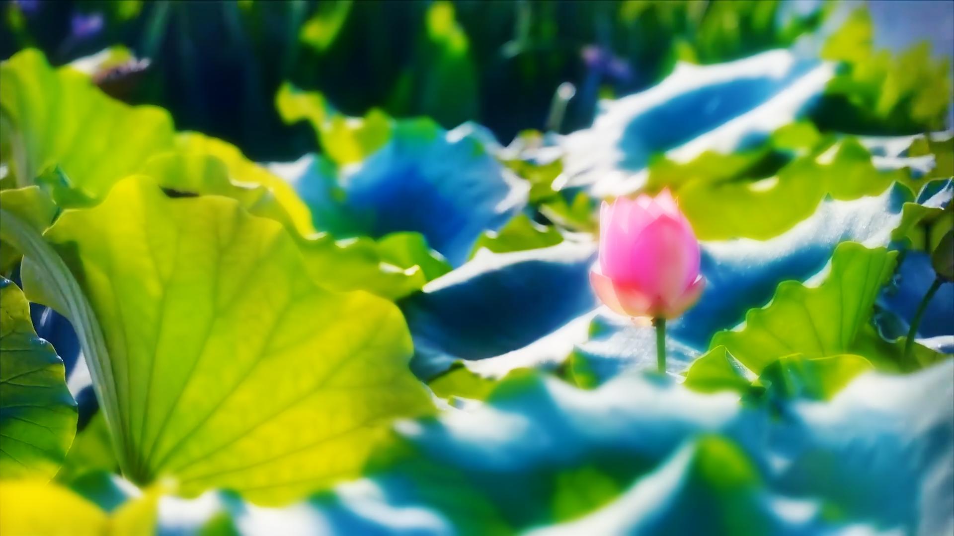 天地有正气杂然赋流形原文,天地有正气杂然赋流形