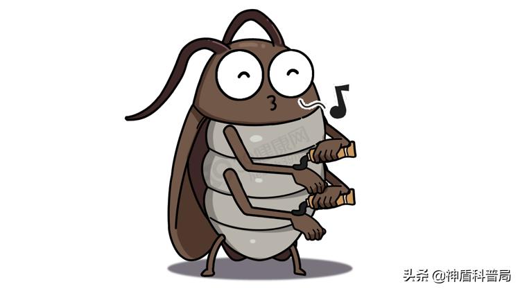 明明蟑螂爬到身上就不见了,有人把蟑螂给踩死了