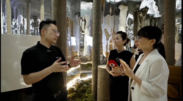 新浪家居2019匠心品牌,新浪家居全部视频