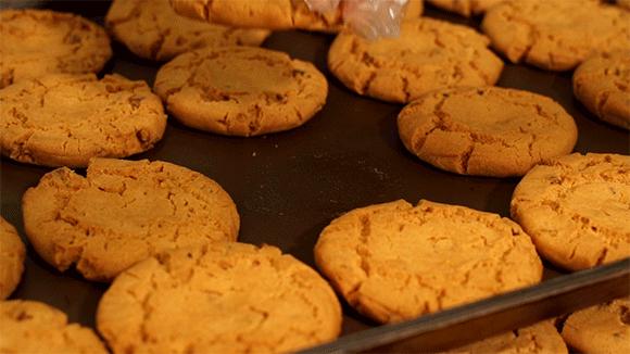 佛山泸溪河,火遍江浙沪泸溪河