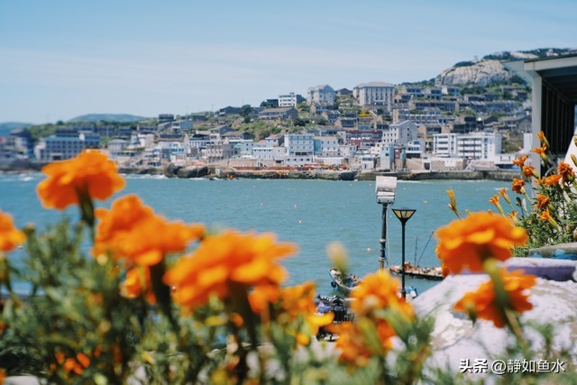 舟山嵊泗岛,舟山嵊泗岛房价