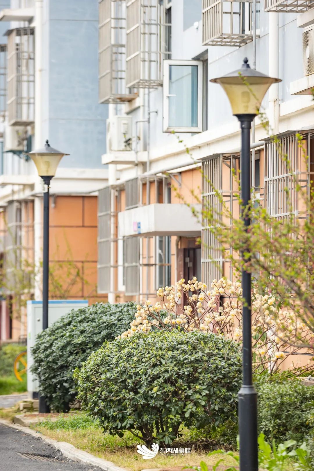 调查问卷发放情况报告,调查问卷100份