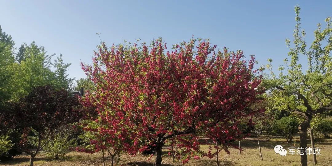 不被时代洪流裹挟,不读万卷书怎么行万里路