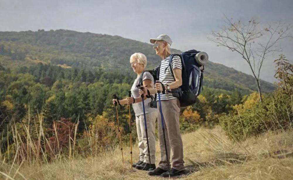 老太太的财富启示录:雇佣保姆不如投资基金!