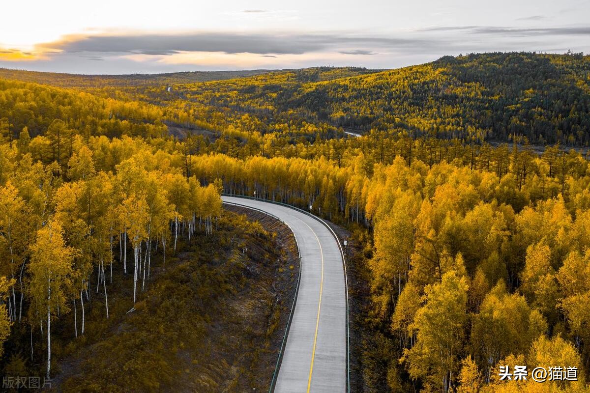 神经网络预测股票,神经网络股票分析