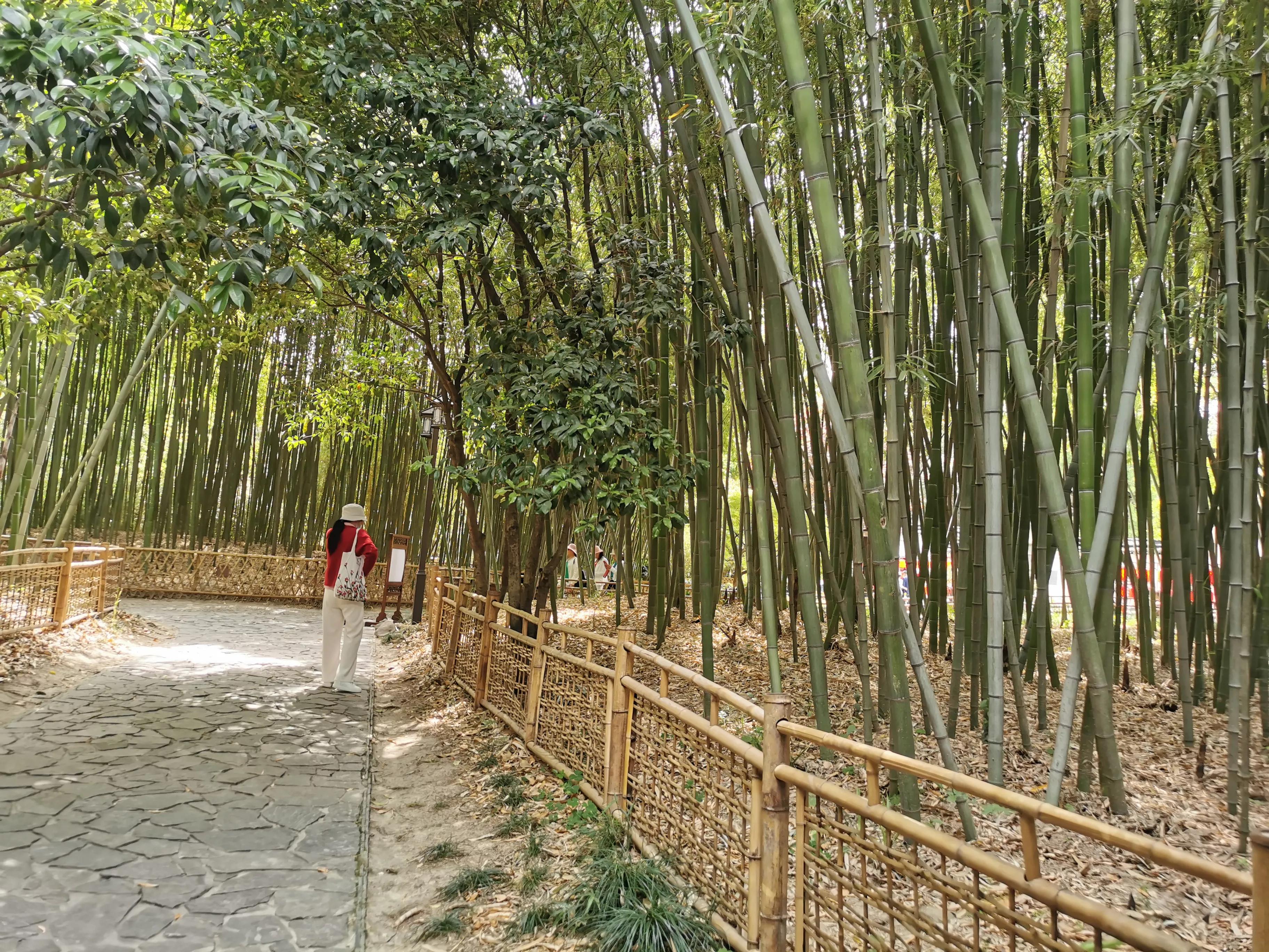 古猗园是上海五大园林之首,上海景区古猗园有哪些景点