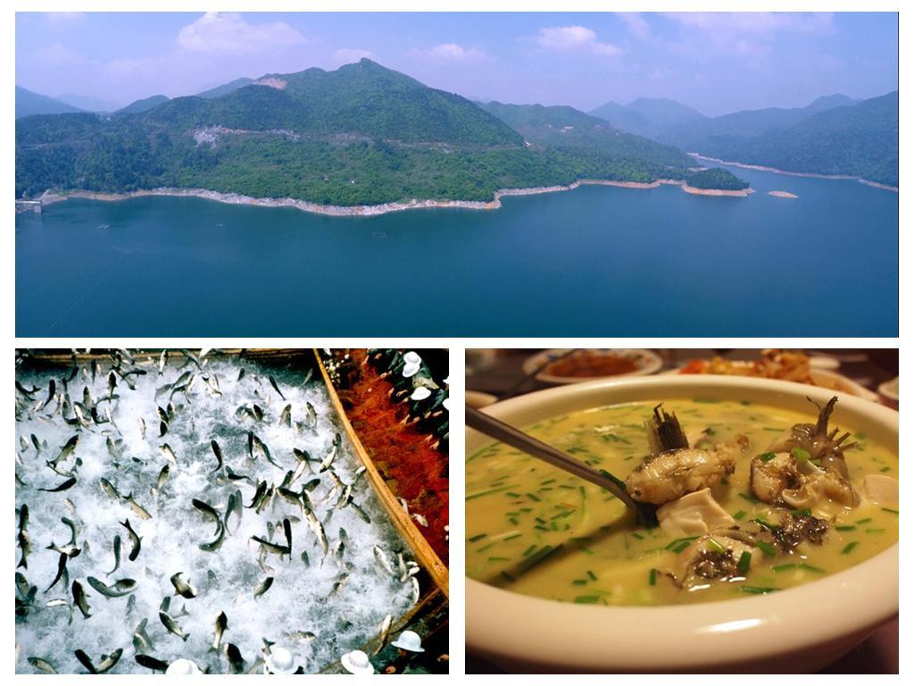 全球学子嘉游赣靠谱吗,全球学子嘉游赣活动