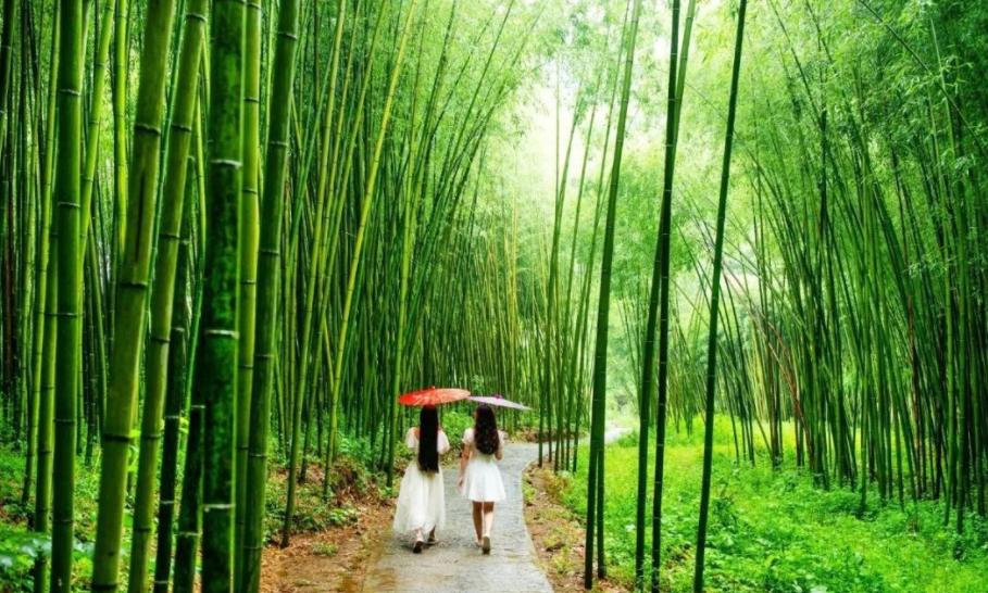 郑州周末学生游玩推荐,郑州夏天周边适合孩子玩免费景点