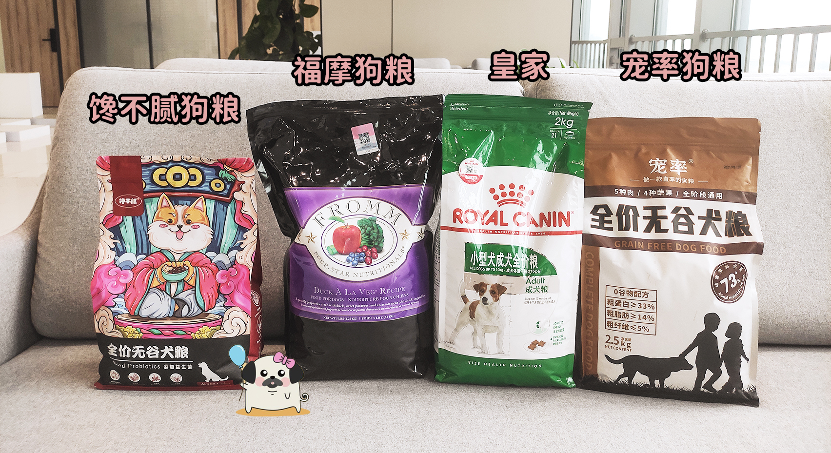 十二星座最像什么狗狗,12星座命中注定的狗狗