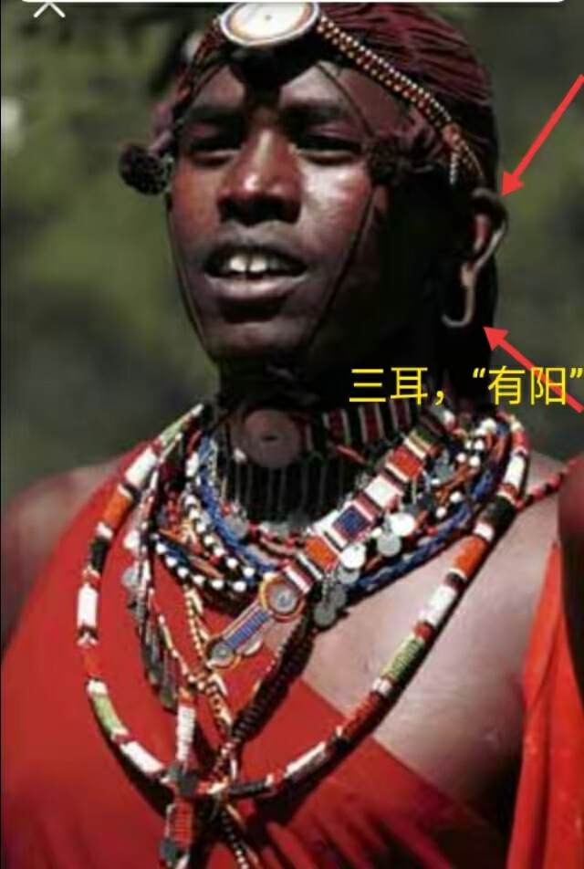 山海经2012白话全译彩图版pdf,山海经海外西经是指哪里