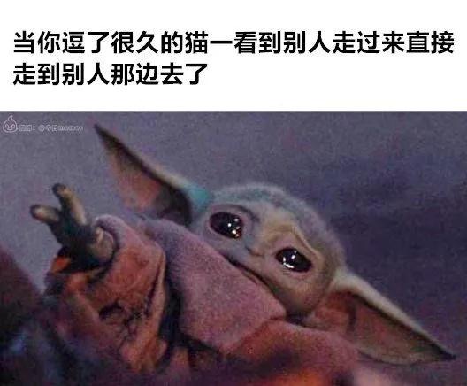 lifeme搞笑图片,十点半搞笑图片