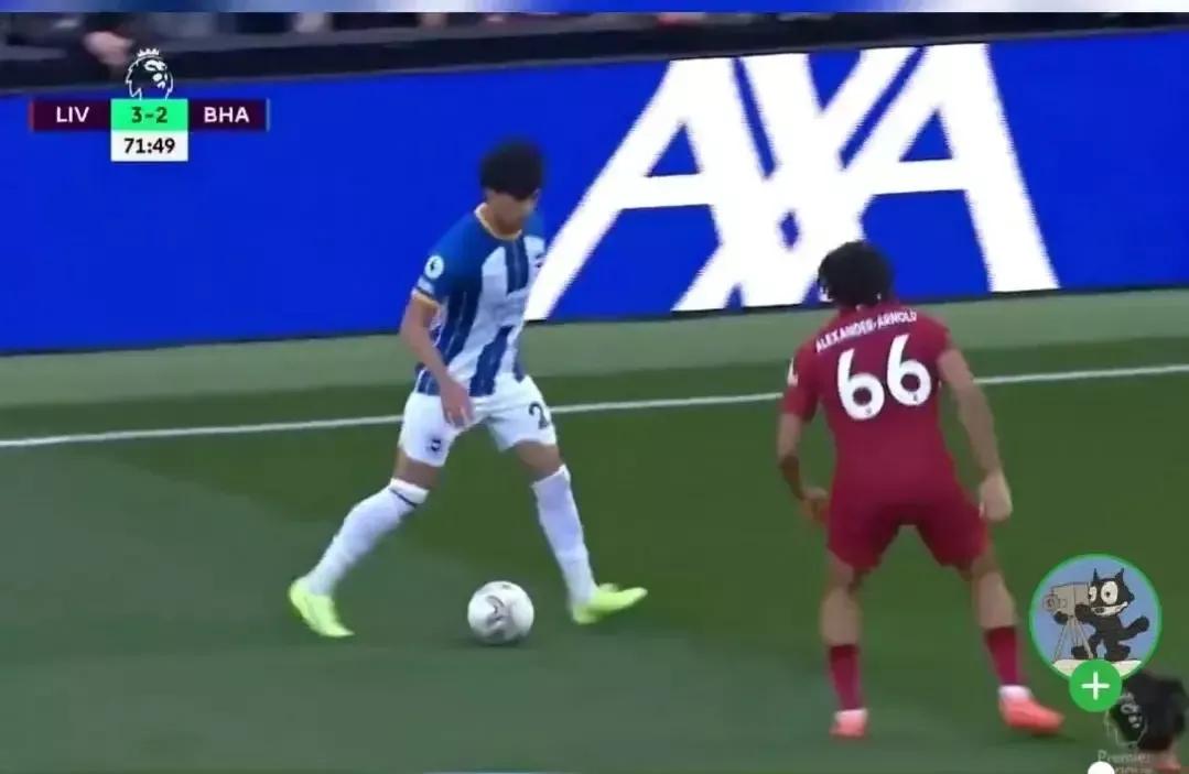 日本世界杯阵容介绍,主力替补轮换