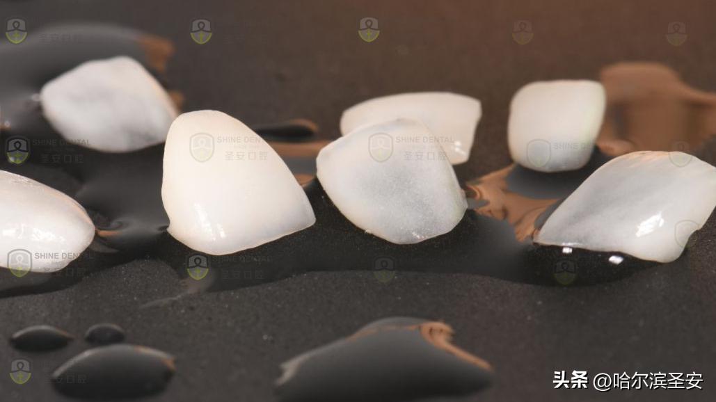 品质圣安匠心打造｜圣安人物系列专访——技术部技术总监韩红晶