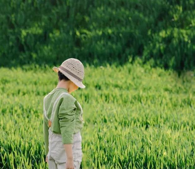 寒假孩子不玩手机看这几部纪录片,让孩子放下手机的3个纪录片