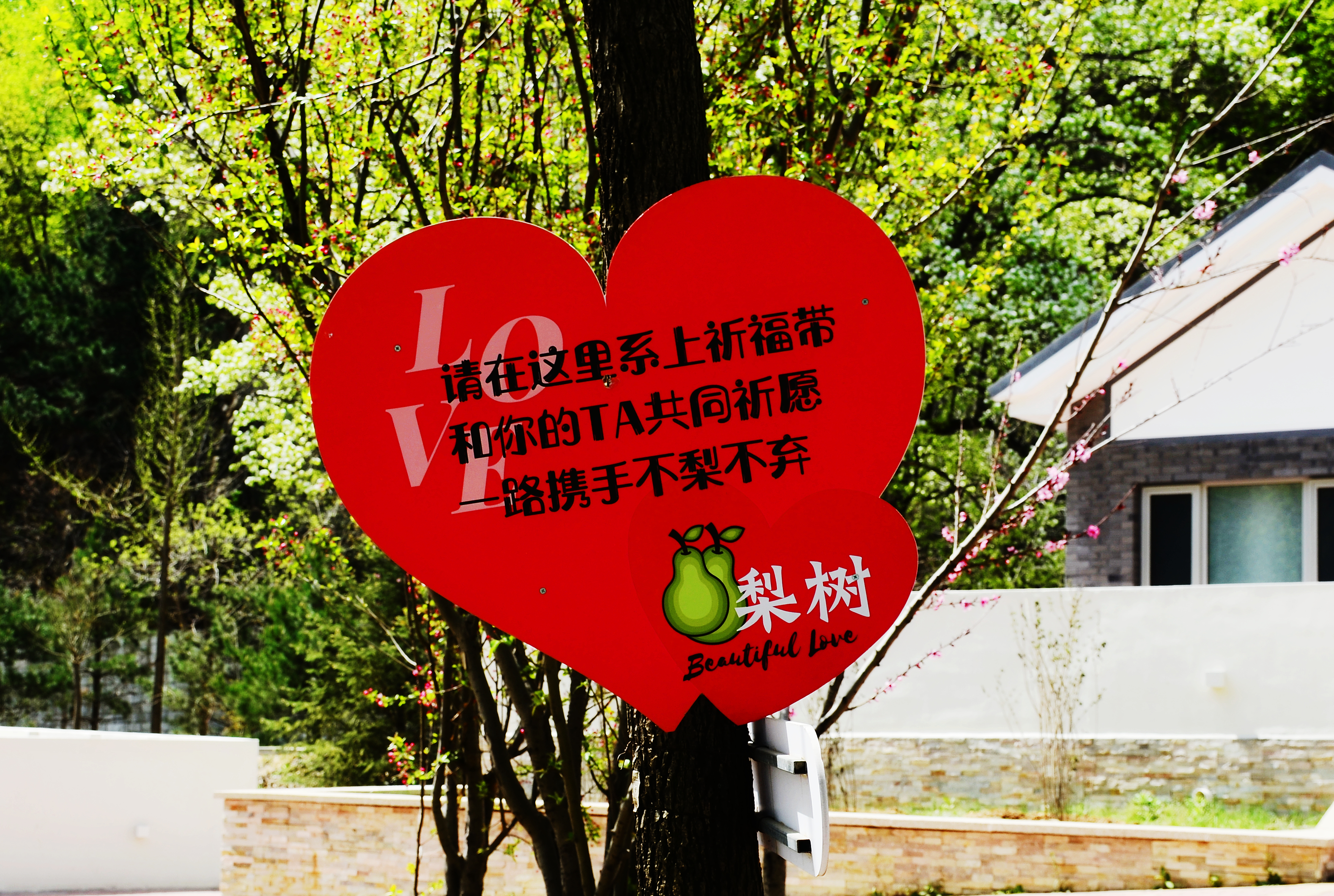 满满的干货又向你来袭,满满的干货精华