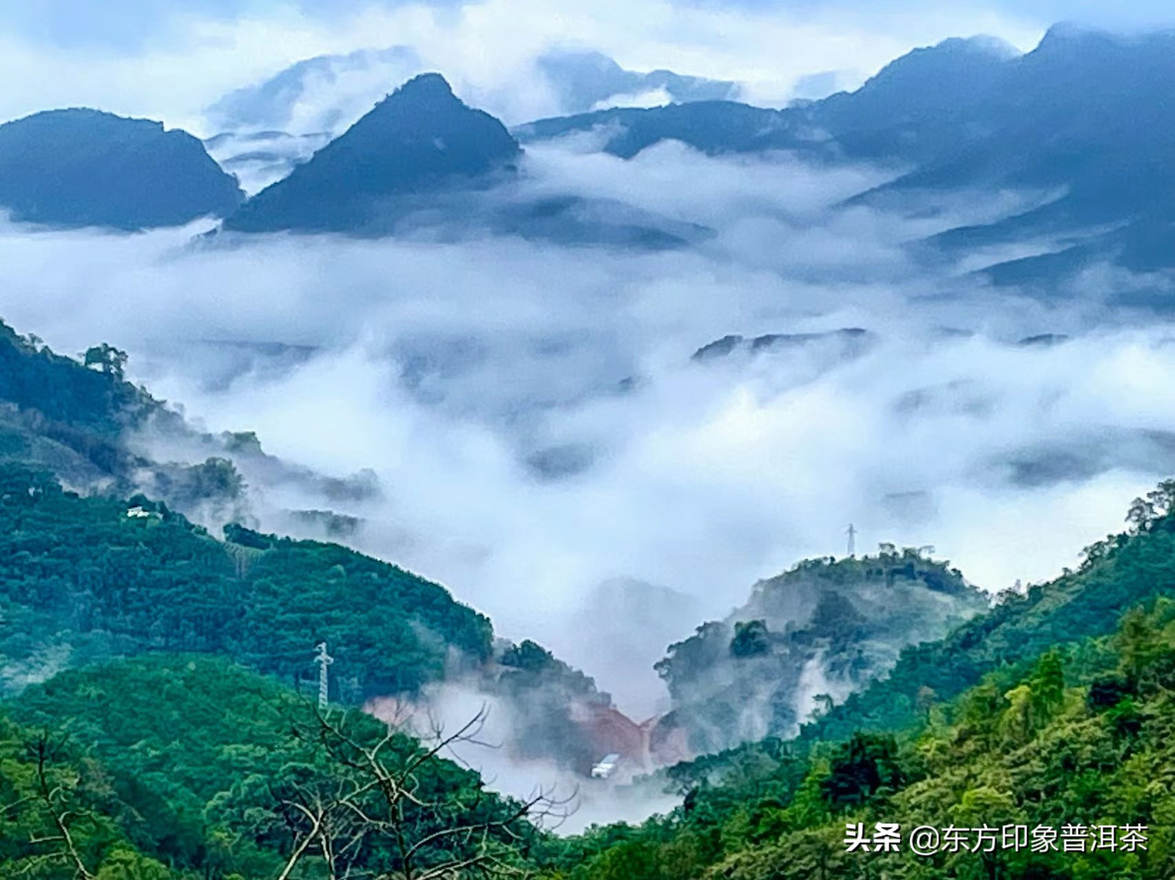 寻茶季,寻茶之旅易武终结篇