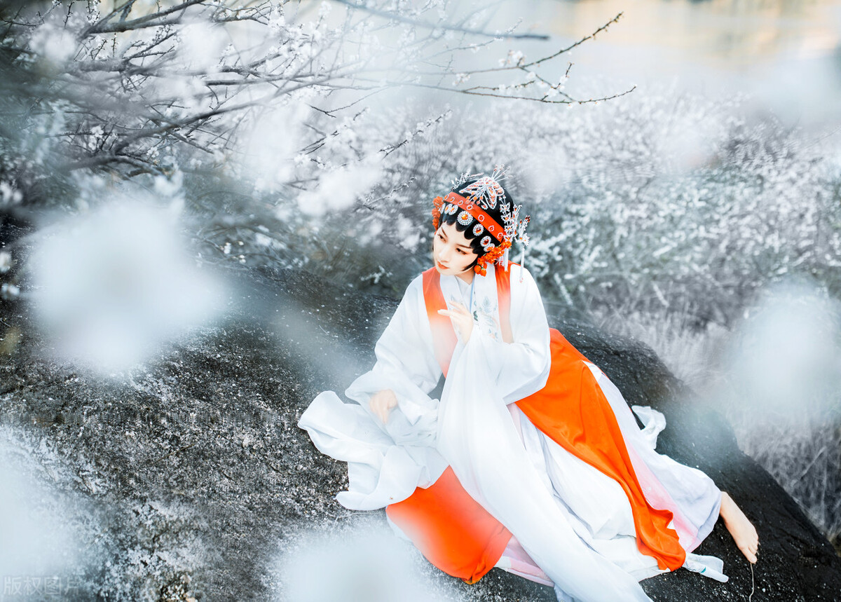 郑可儿诗歌与书法作品之28：贺寿中华诗梅花军魂开心快乐无题11