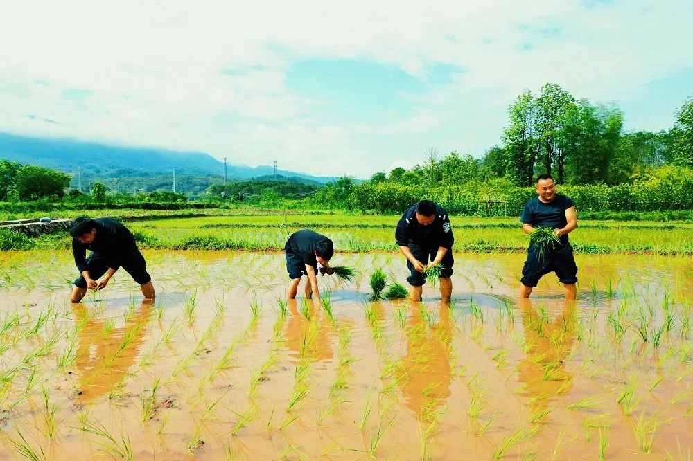 浼樼鏂囪壓浣滃搧灞曠ず,浼樼鏂囪壓浣滃搧闆嗕腑灞曠ず