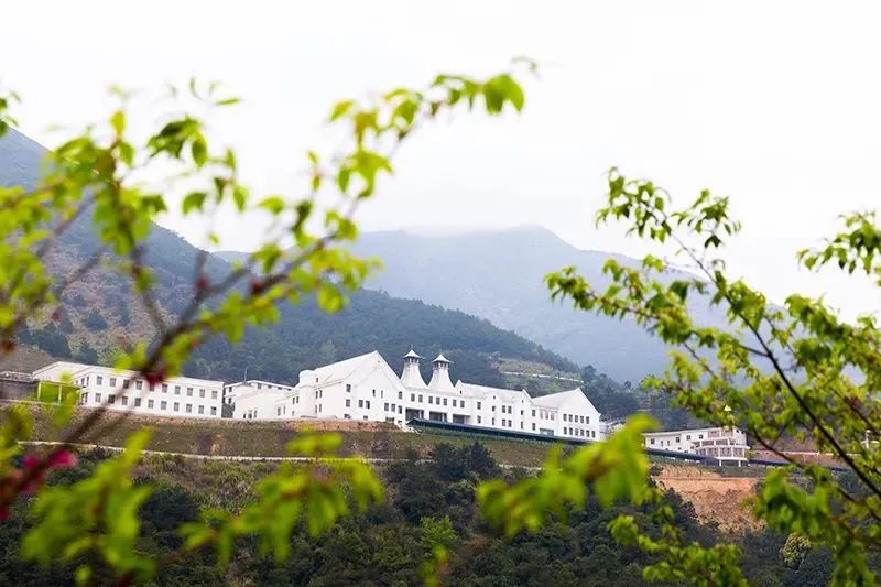 多位大咖带你体验，拿得出9年麦芽威士忌产品的国威酒厂！