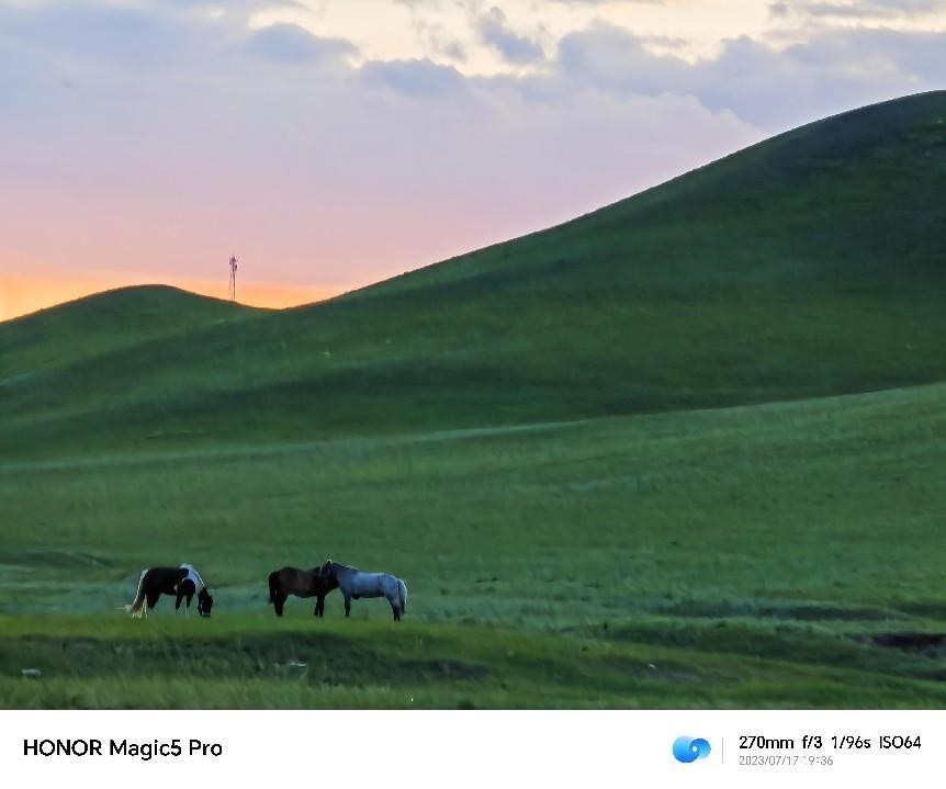 荣耀magic5pro玩王者画面很大,荣耀magic5pro拍照有舞台光功效吗