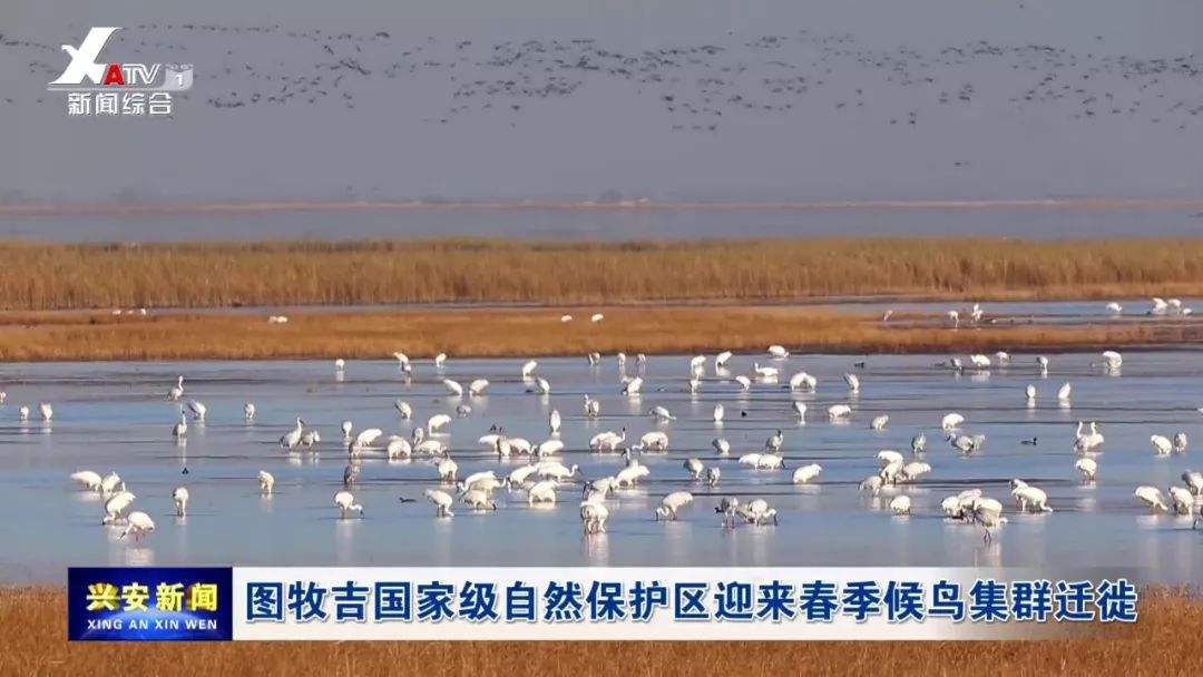 兴安盟的特色美景,兴安盟的风景