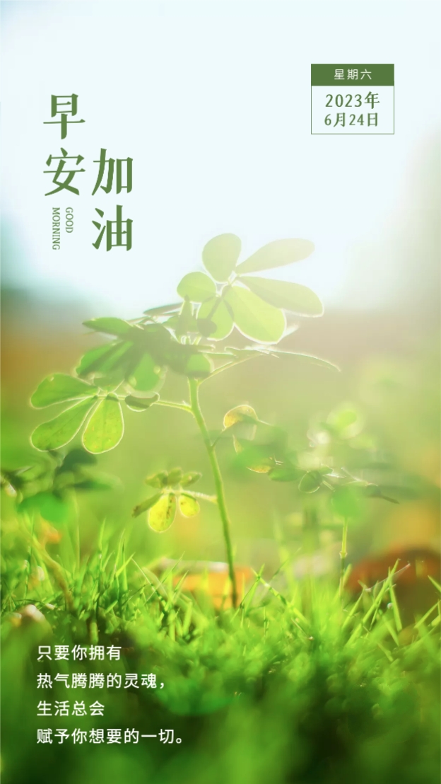 新的一周早安正能量句子图文,早安语录大全图文