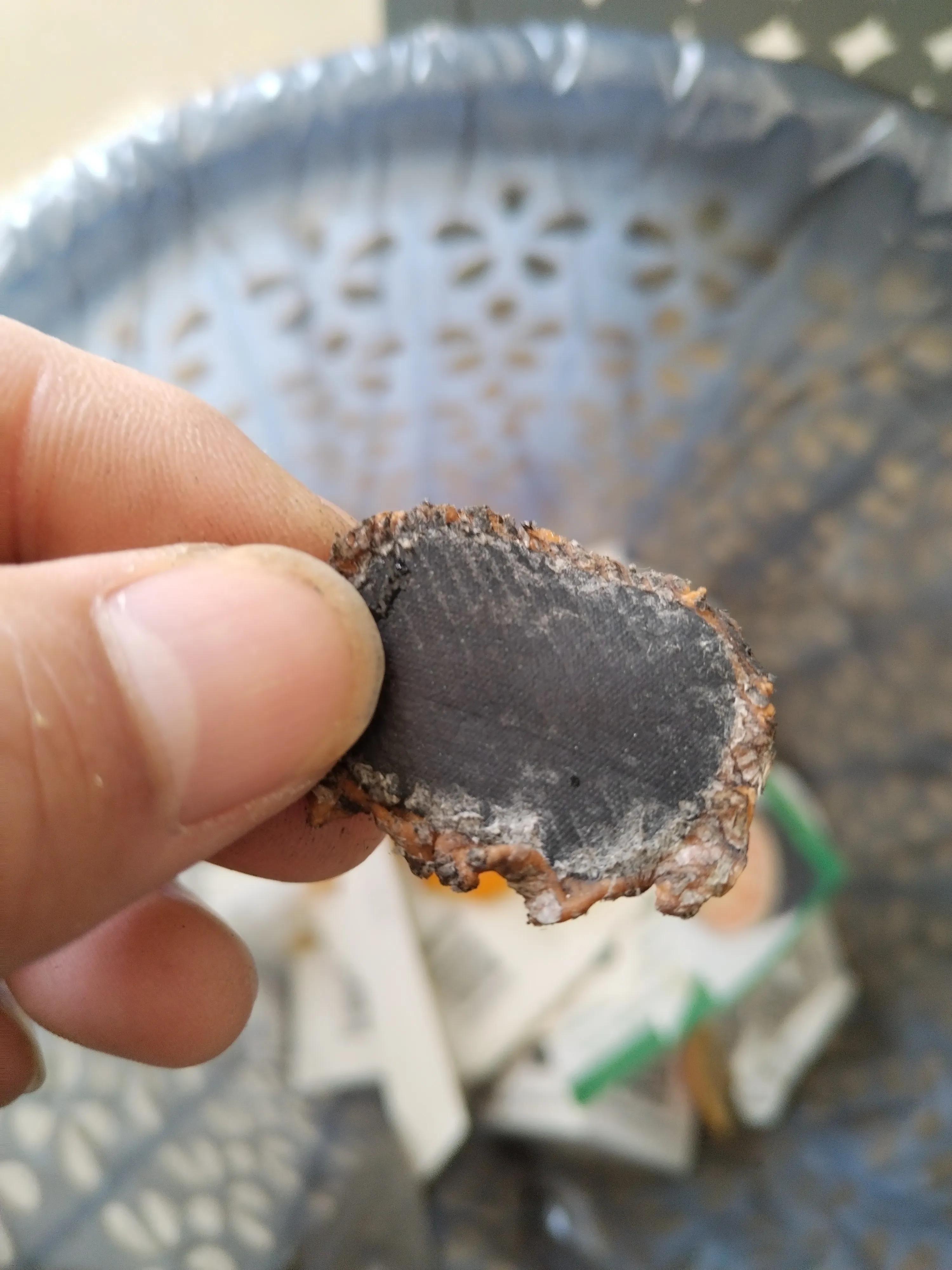 自行车补轮胎的正确方法,自行车补车胎时如何打磨车胎