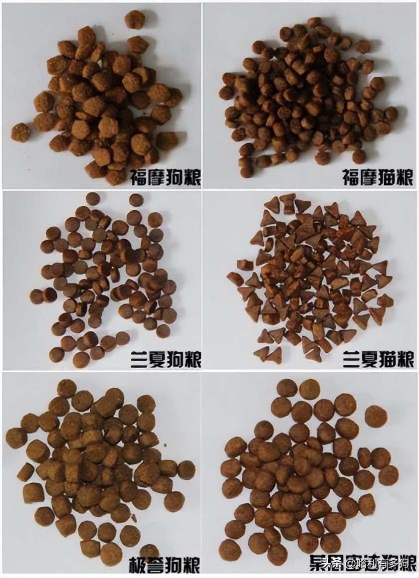 幼犬粮和全阶段粮的区别,成犬粮和幼犬