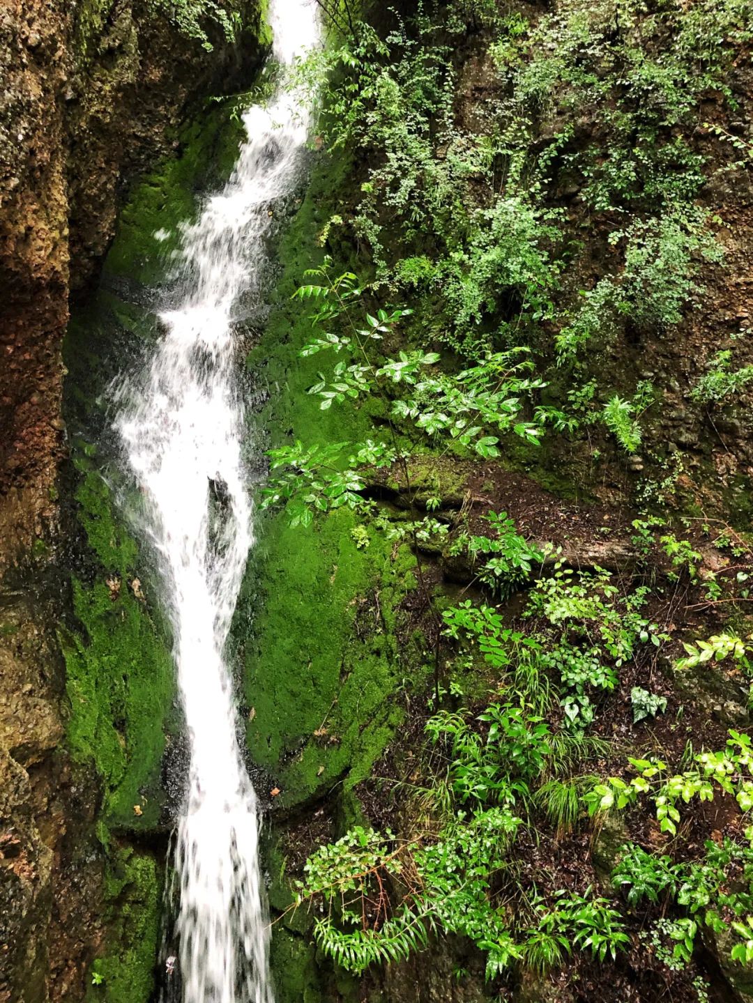 甘肃想吃美食去哪里旅游,甘肃啥地方