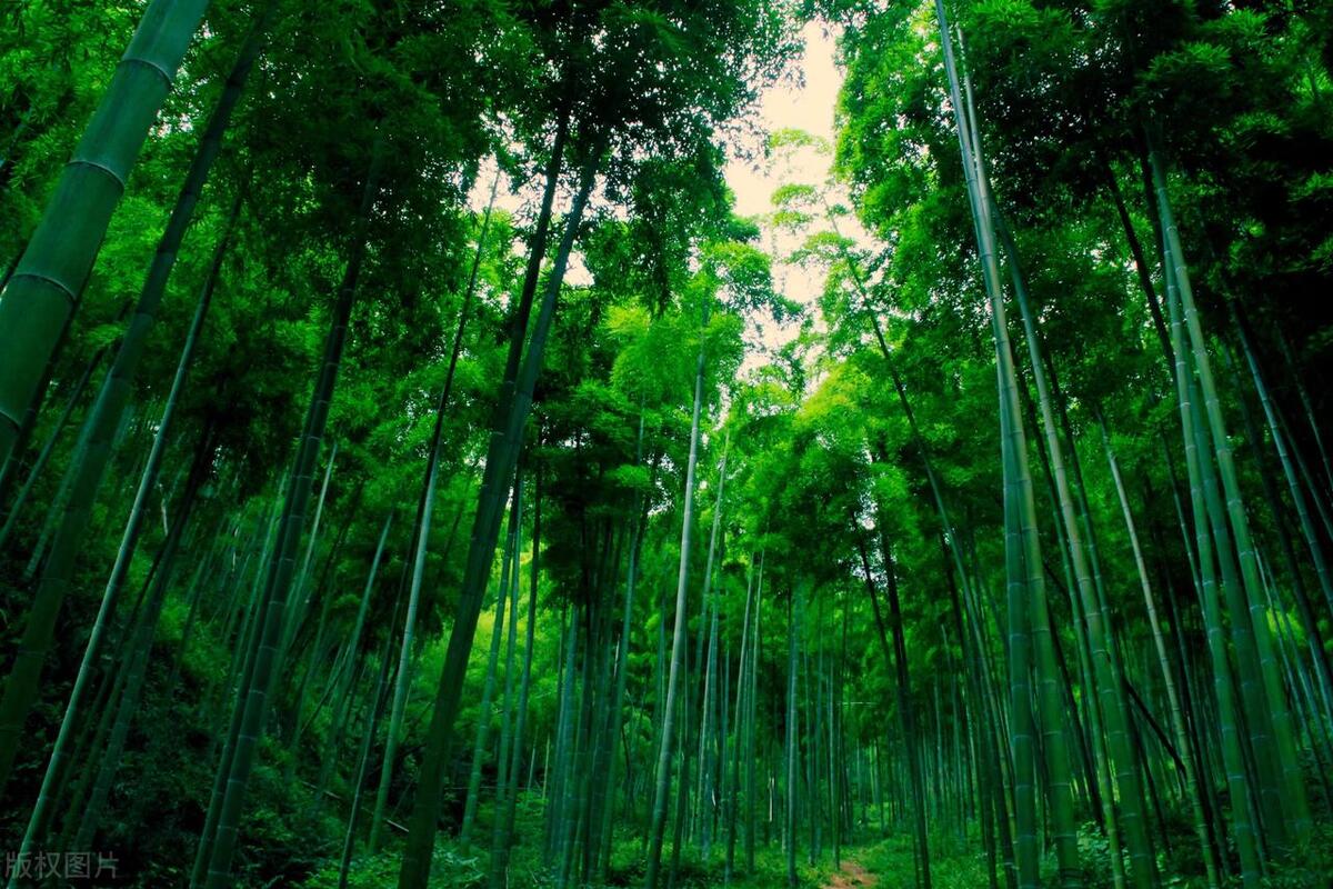 安吉乡趣谷山野附近有什么好玩的,安吉景点旅游攻略图片大全