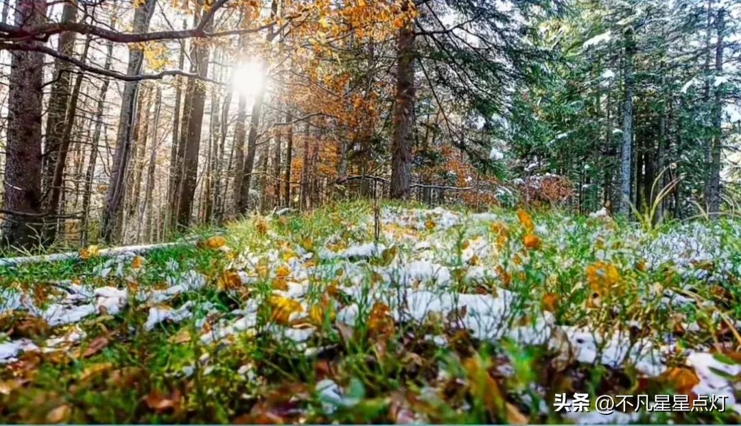 立冬为什么叫立冬,立冬日怎么判断是暖冬还是寒冬