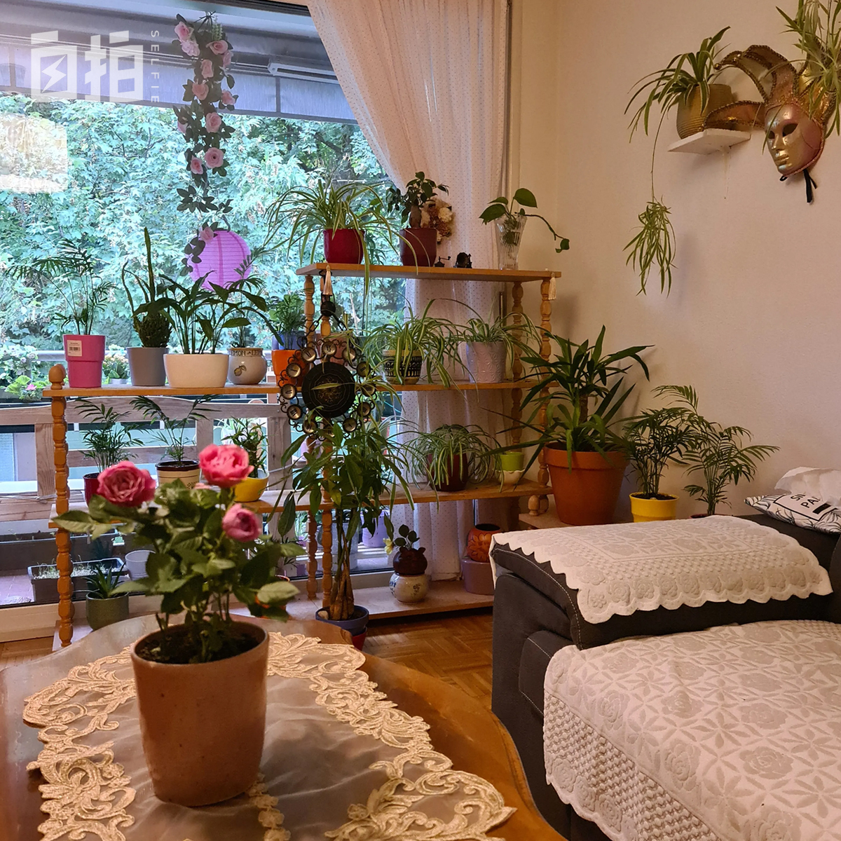 我,90年代下海,28万买的深圳房,一辈子没生娃,晚年就去养老院