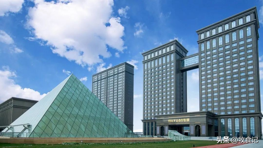 上市猪企上半年巨亏仅一家赚钱,中国十大猪企利润暴增