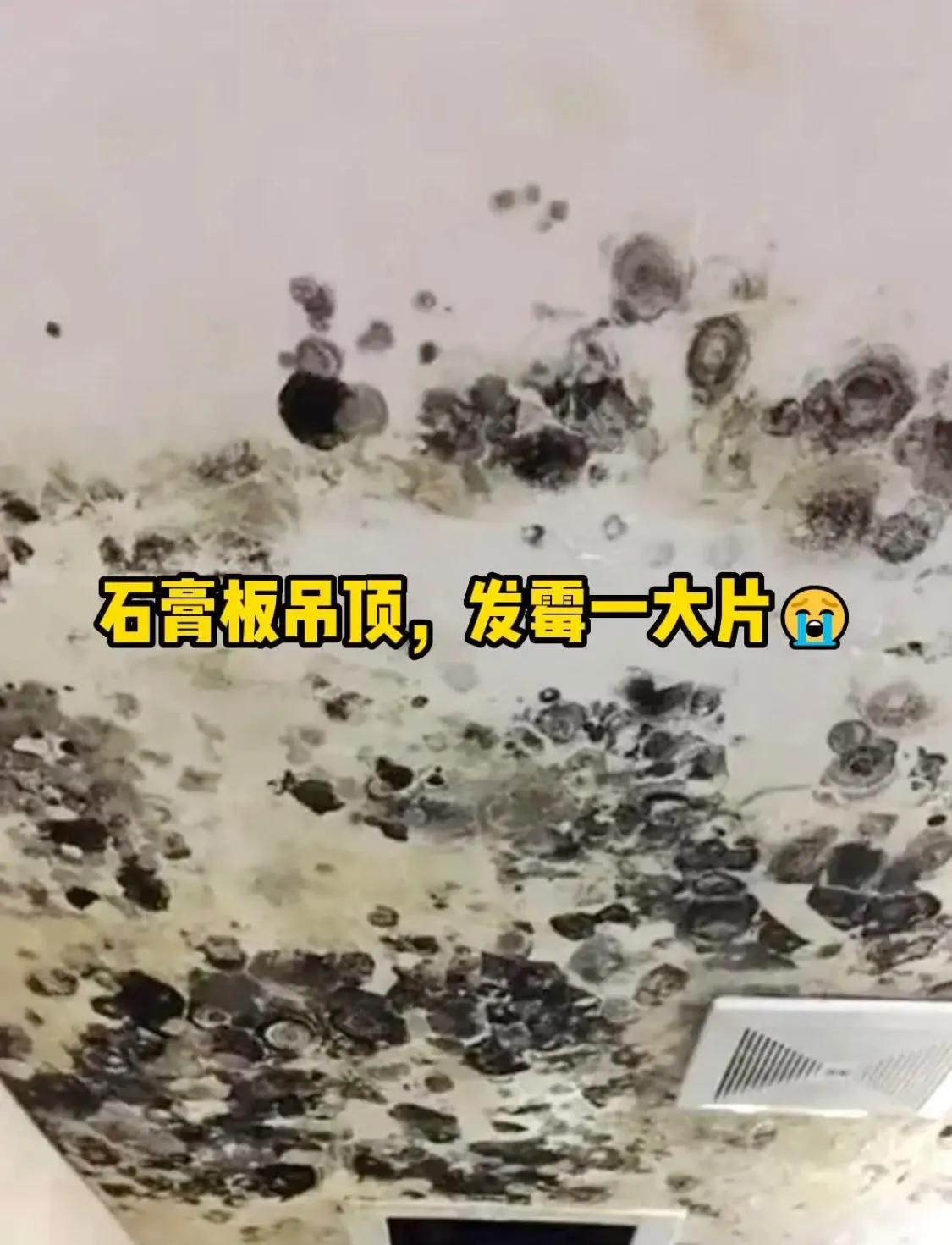 卫生间铝扣板吊顶选什么样子的,卫生间铝扣板吊顶如何装出高级感