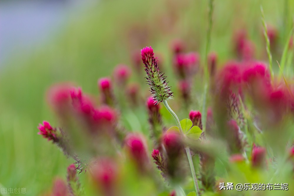 与丈夫结婚21年却发现世上无此人,女子与丈夫相恋11年意外发现出轨