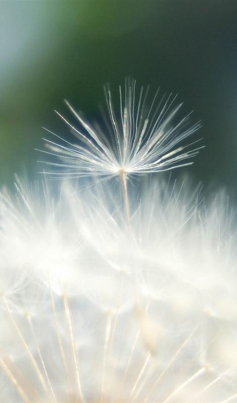 散文简单活着就是人生的精致,散文人心简单了就幸福