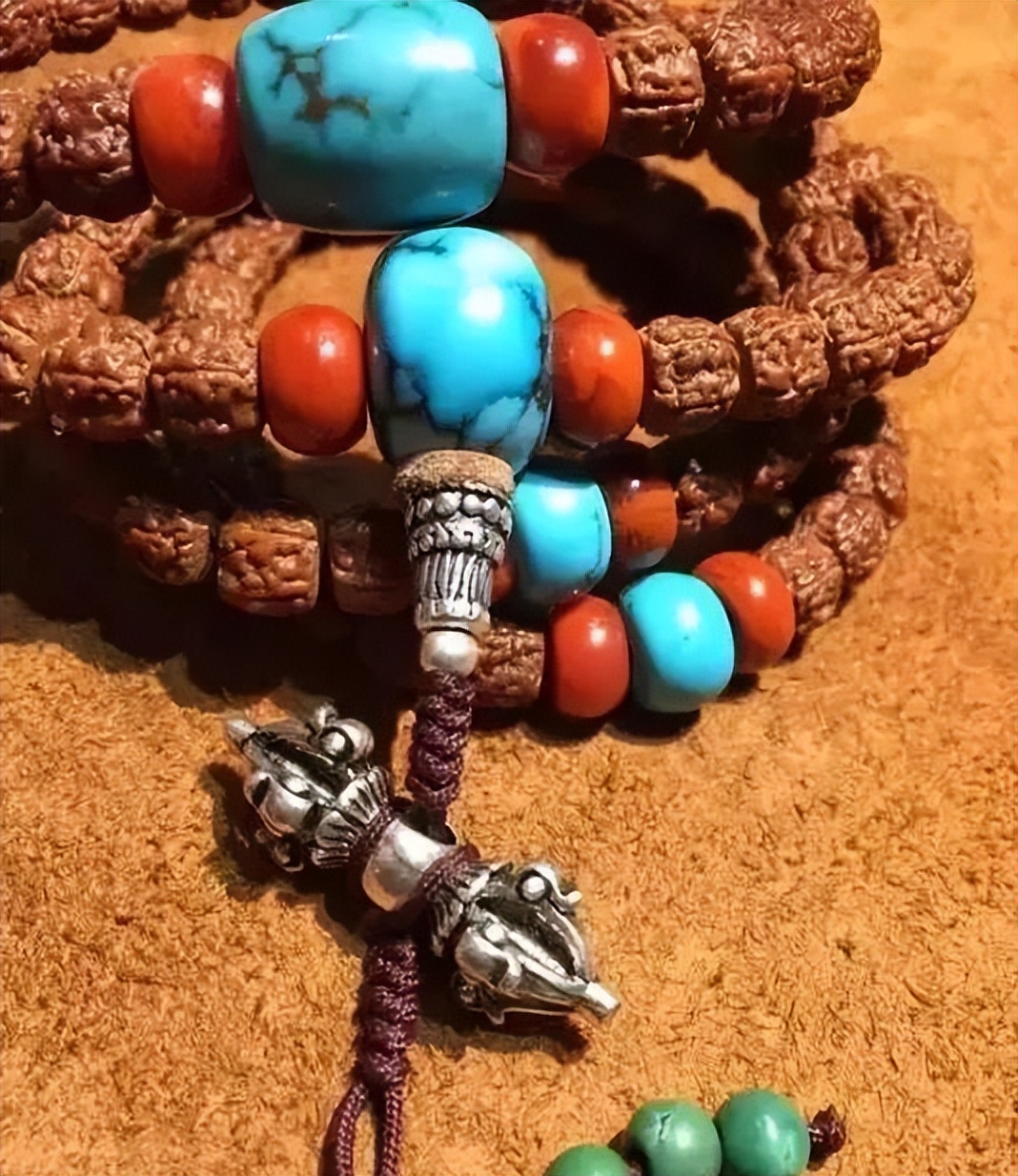 金刚菩提子知识,金刚菩提子的知识